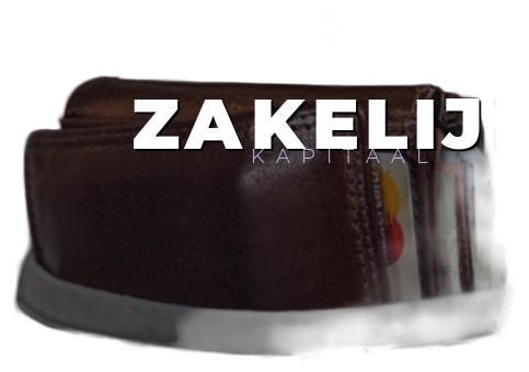 Zakelijk Kapitaal logo